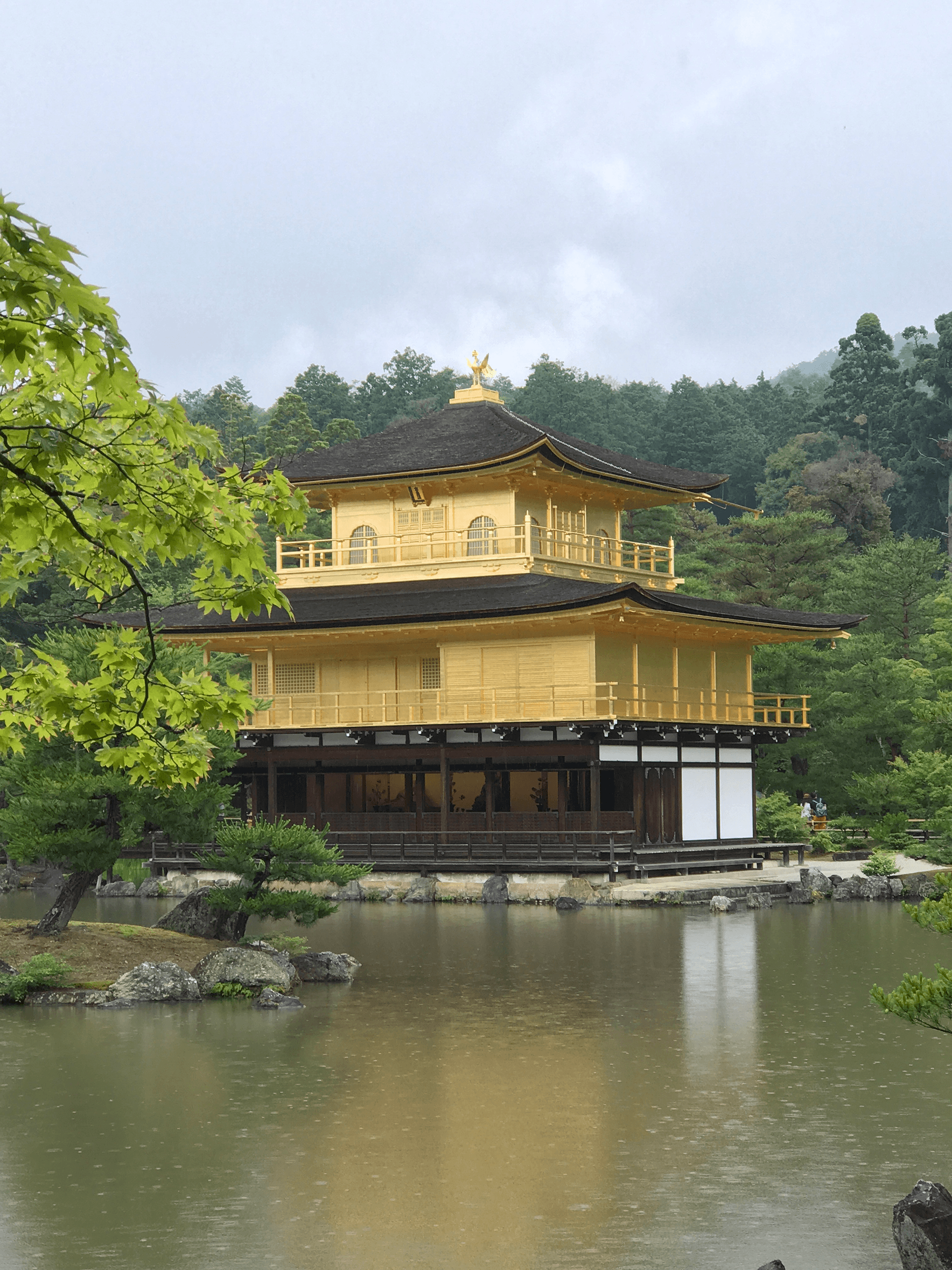 Kinkakuji Kyoto Golden Temple Walkthrough – 4 Reasons To See Kinkakuji Golden Pavilion 🇯🇵 ⛩ 🌸