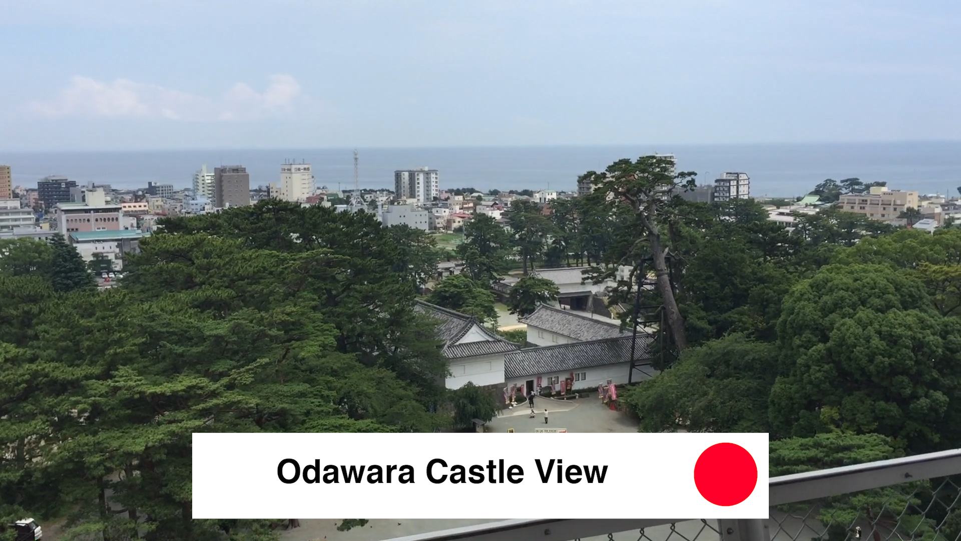Odawara Castle View - Odawara Castle Japan Guide Review Video - 9 Reasons To See Odawara Castle Kanagawa Japan 🇯🇵 🏯 🌸
